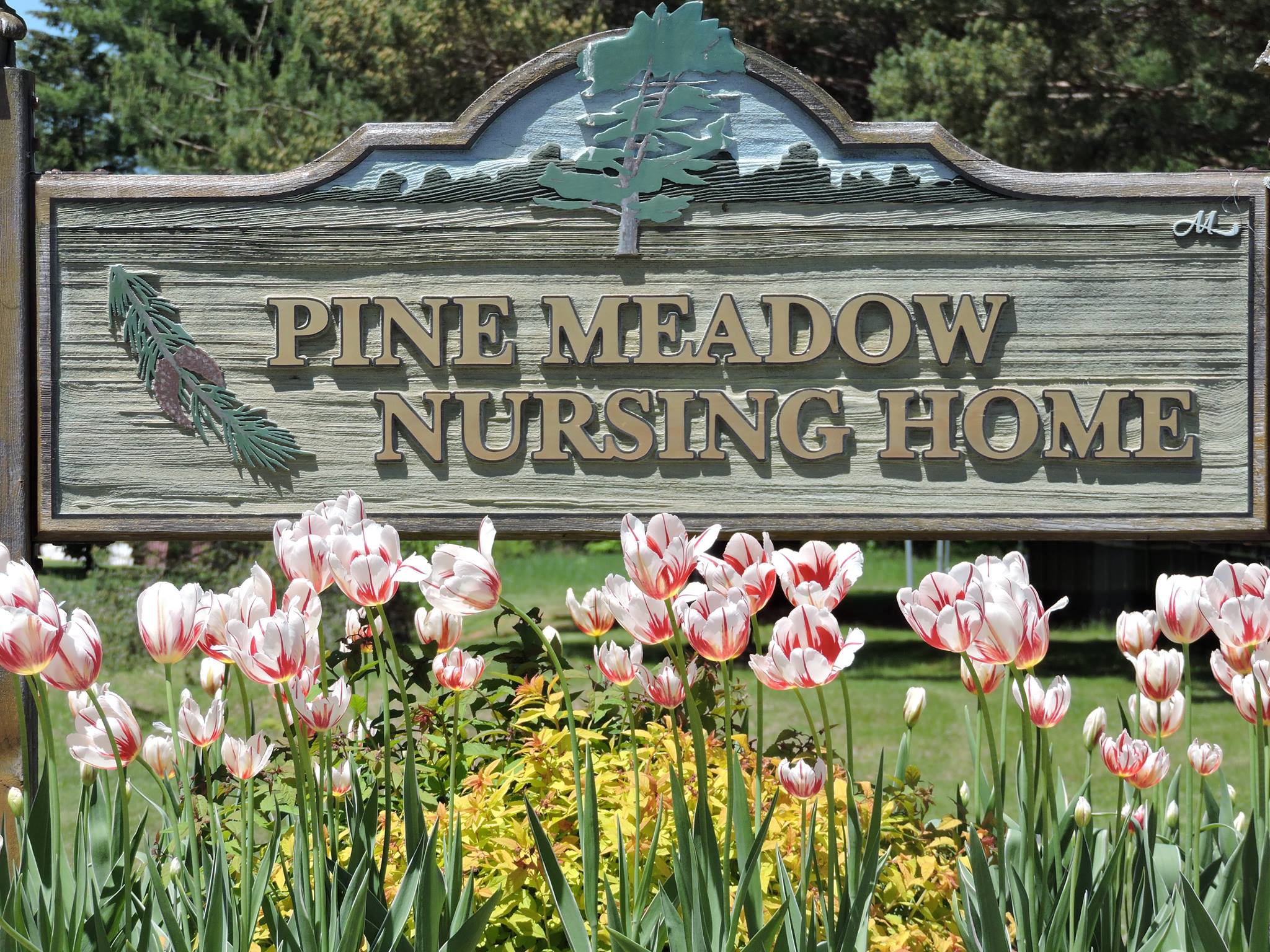 Pine Meadow Nursing Home, Northbrook, Ontario