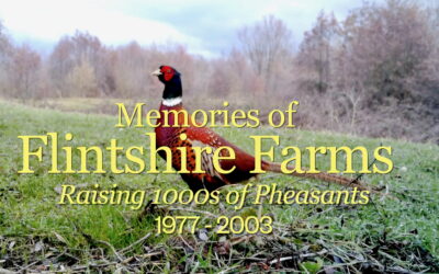 Memories of Flintshire Farms 1977 – 2003, New Video!
