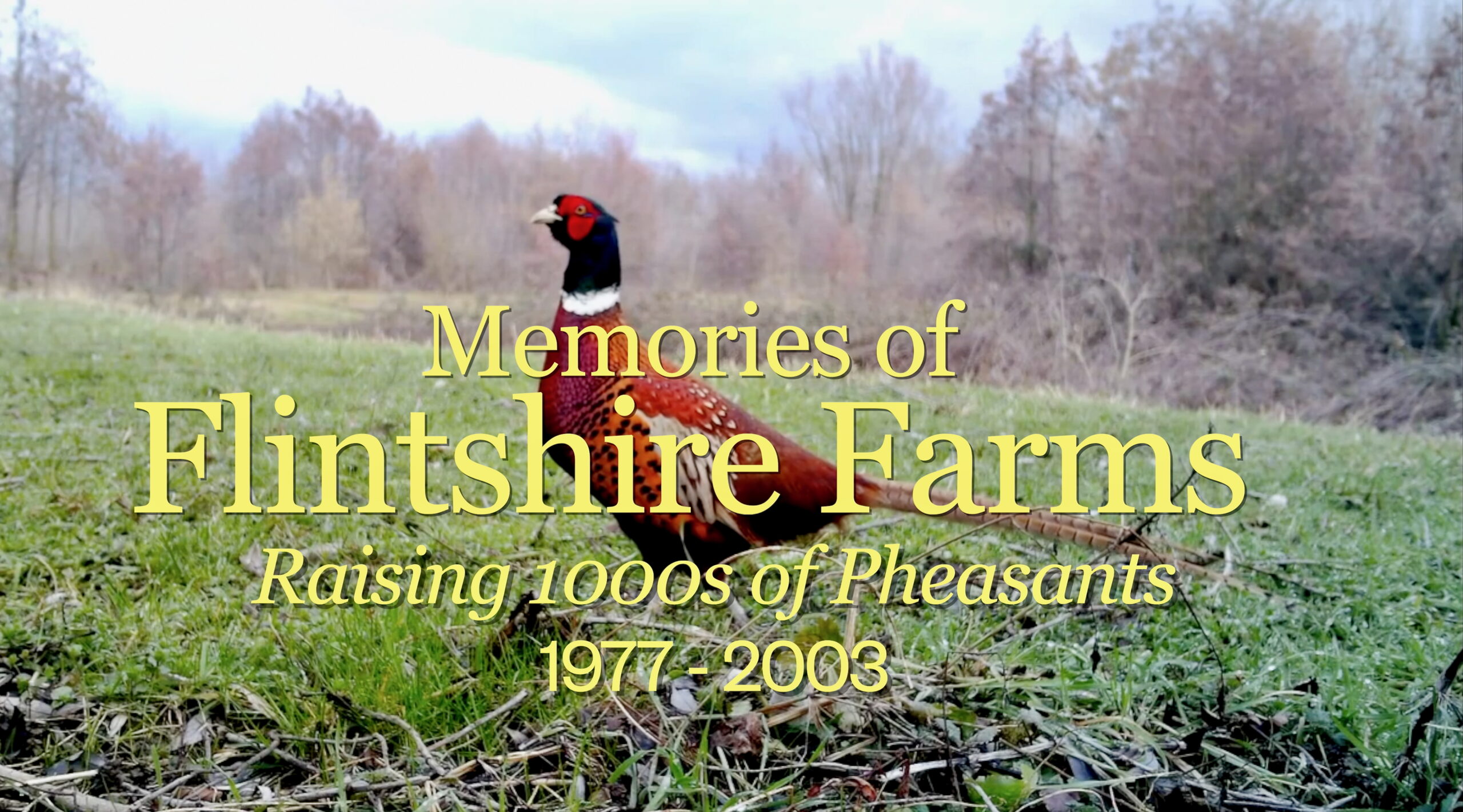 Memories of Flintshire Farms 1977-2003 video